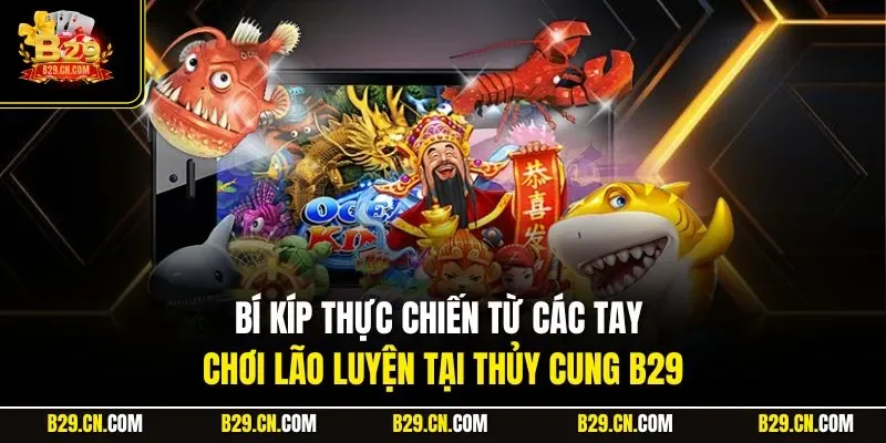 Bí kíp thực chiến từ các tay chơi lão luyện tại Thủy Cung B29