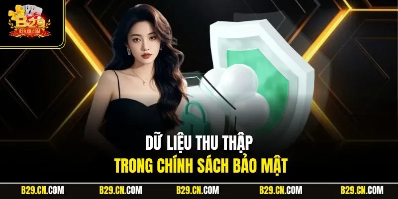 Dữ liệu thu thập trong chính sách bảo mật